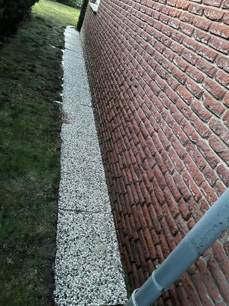 Nachher Formschnitt Kugelbaum