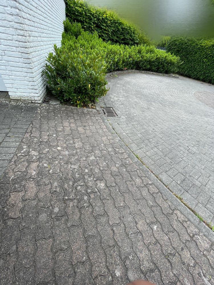 Vorher Pflasterreinigung Auffahrt
